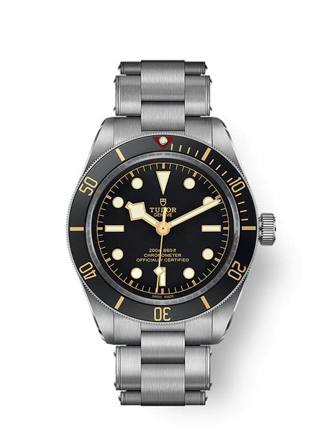 dimensioni cassa tudor black bay